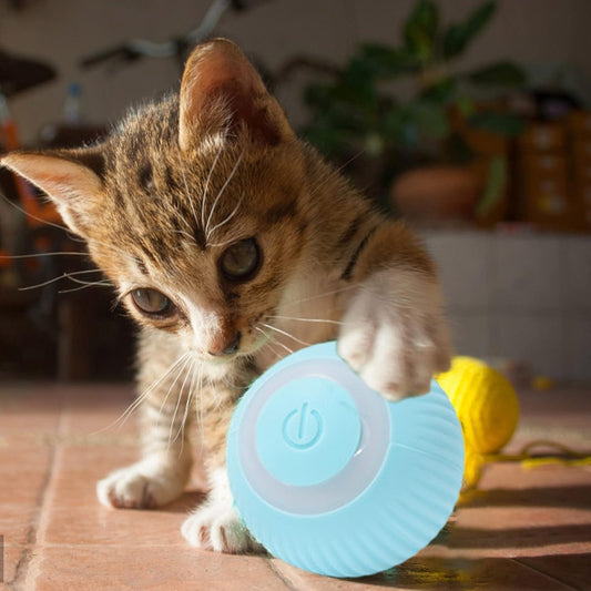 BallPet™ - Pelota interactiva para gatos