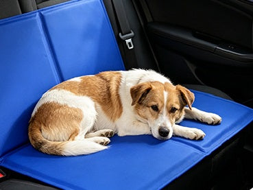 Fresh™ - Alfombrilla refrescante para mascotas