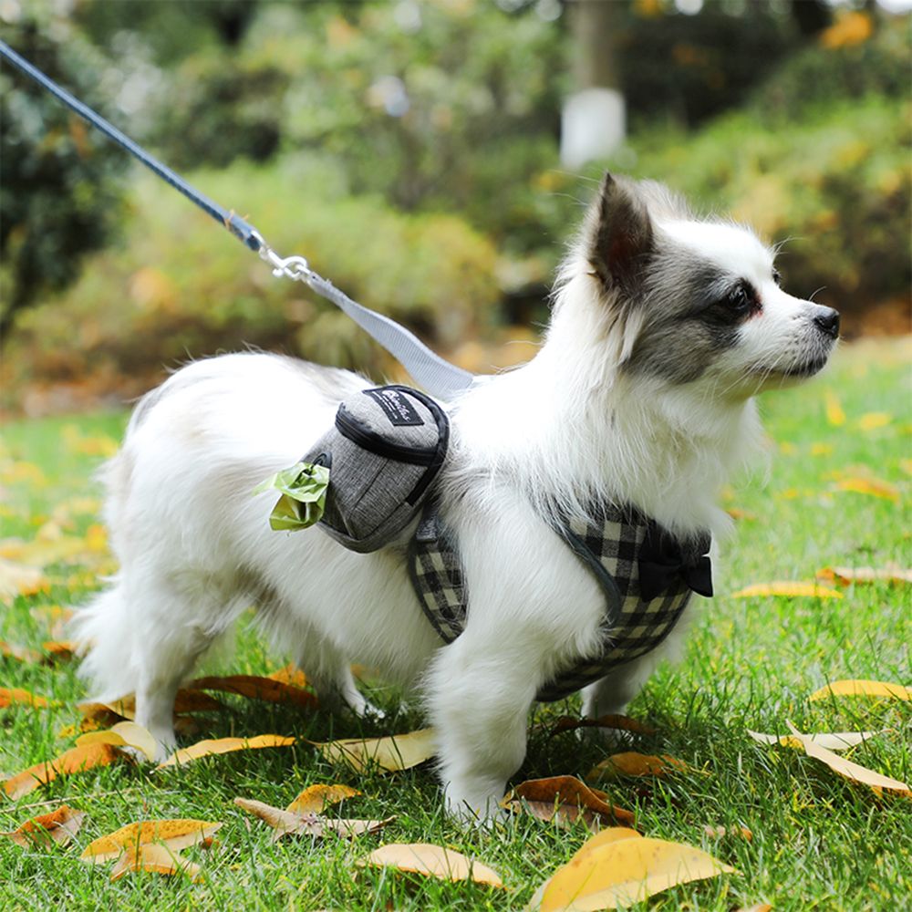 Bolso transportín para mascotas