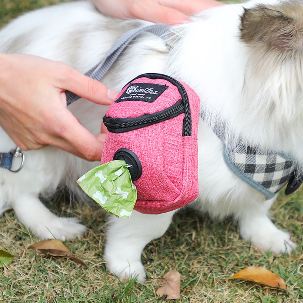 Bolso transportín para mascotas
