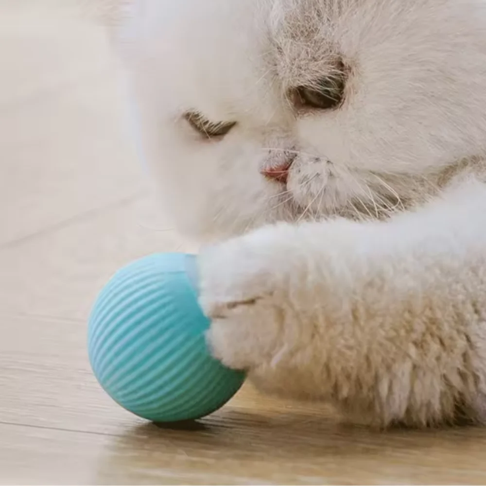BallPet™ - Pelota interactiva para gatos